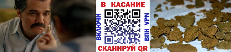 Наркотические вещества Выборг Марихуана СОЛЬ Гашиш Галлюциногенные грибы Меф