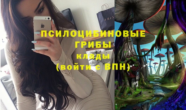 эйфоретик Протвино