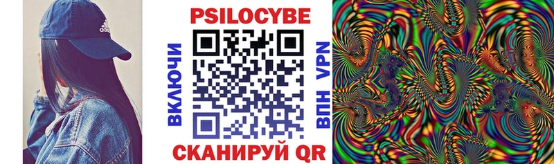 купить наркоту  гидра tor  Псилоцибиновые грибы Psilocybine cubensis  Выборг 